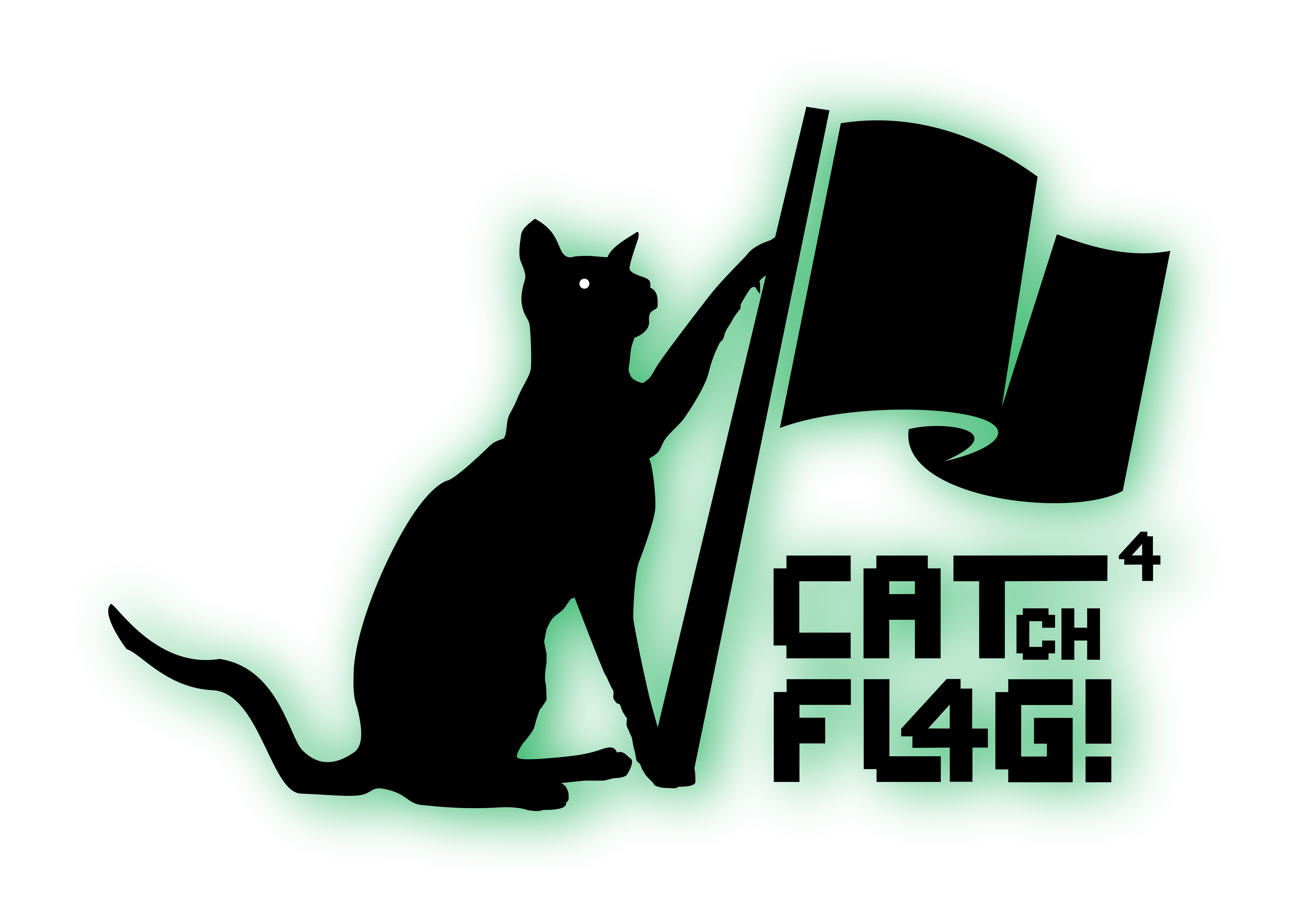 CATch a Flag